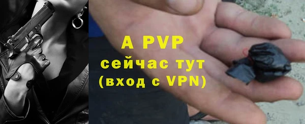 ГАЛЛЮЦИНОГЕННЫЕ ГРИБЫ Абаза