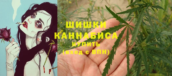 ГАЛЛЮЦИНОГЕННЫЕ ГРИБЫ Абаза